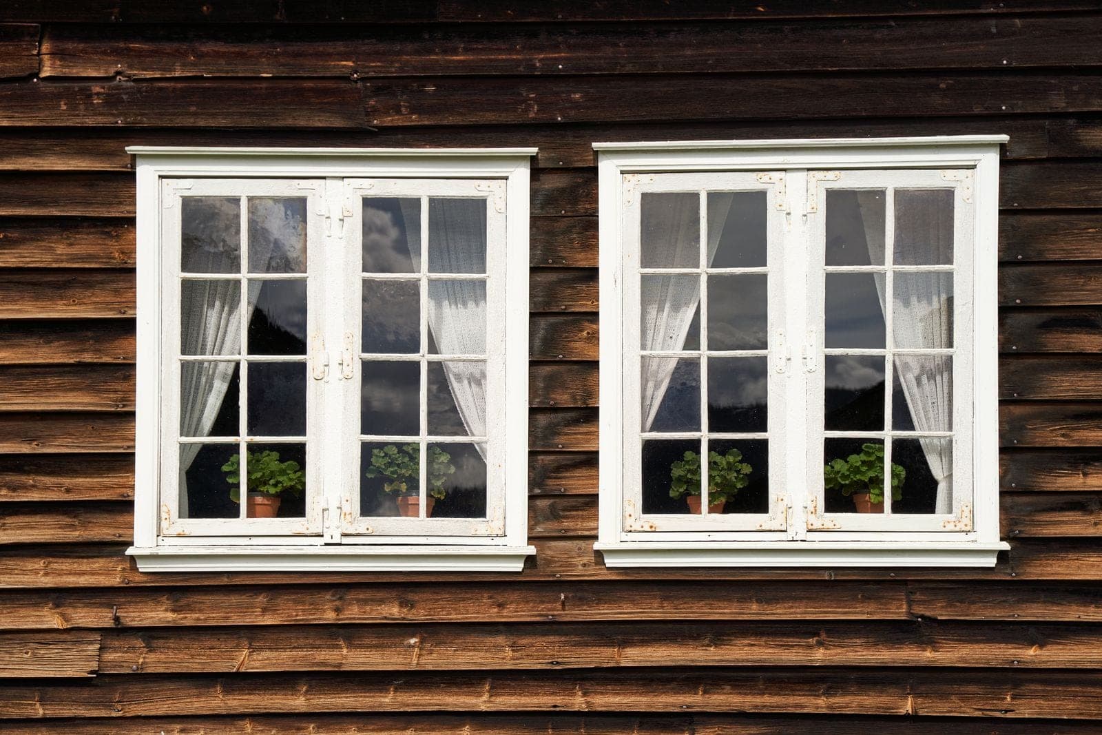 White windows with curtains on dark wood siding
